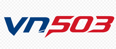 vn503 logo